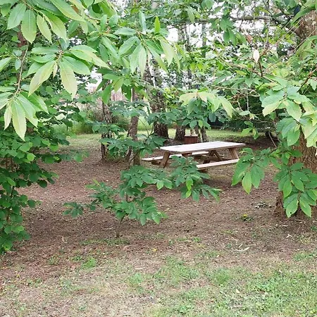 فندق مبيت وإفطار Maison Puygaud