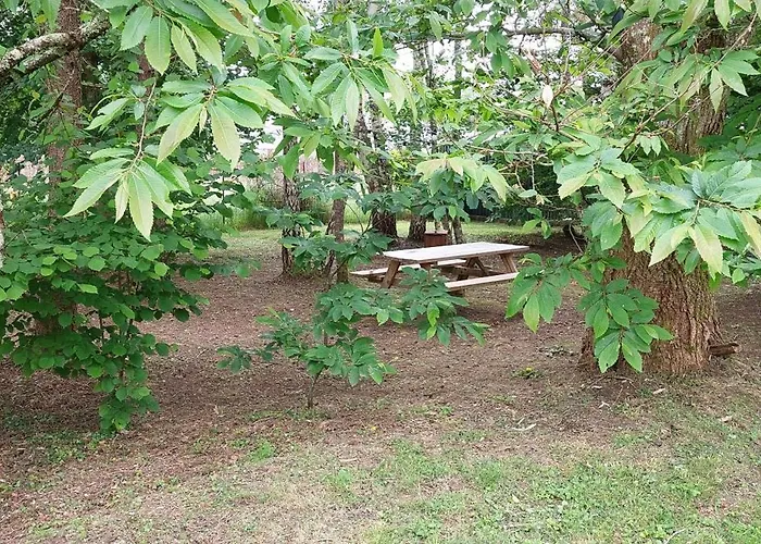 Frühstückspension Maison Puygaud