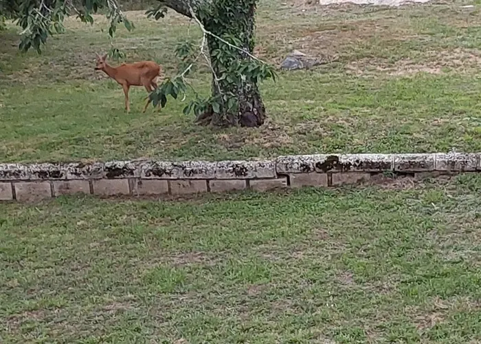 Frühstückspension Maison Puygaud Piégut-Pluviers